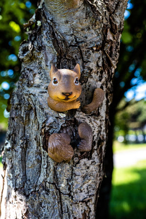 Peeking squirrel garden decoration