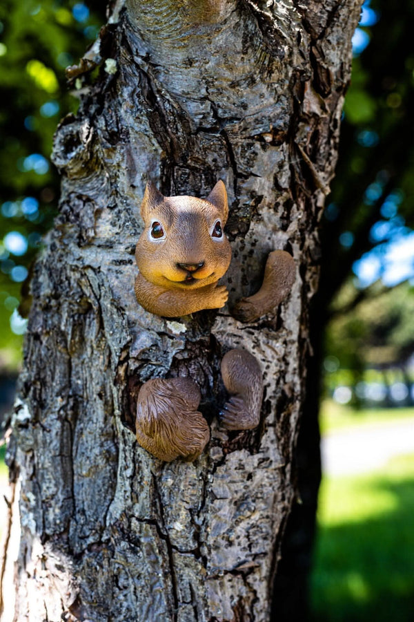 Peeking squirrel garden decoration