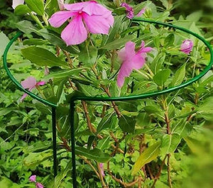 garden plant support cage for flowers