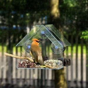 Perspex window bird feeder with clear transparent design
