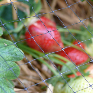 Protective netting for ponds and crops