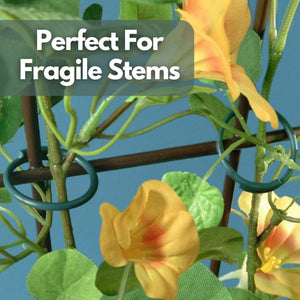 Plastic coated metal rings for plant training