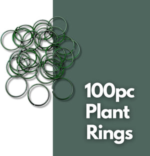 Plant support rings designed for climbing vegetables