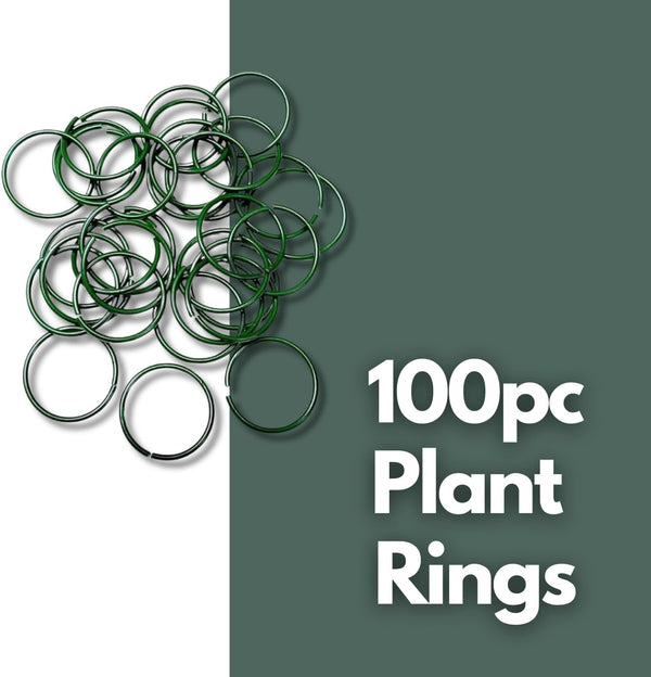 Plant support rings designed for climbing vegetables