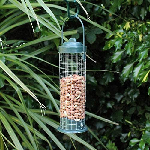 Hanging wildlife feeder mounted on a garden hook.