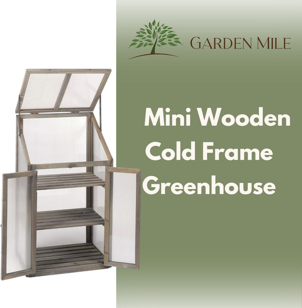 Outdoor cold frame for seedlings and herbs