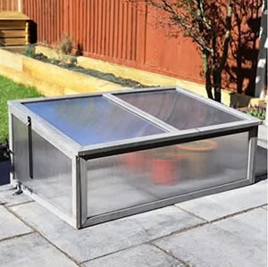 Mini greenhouse containing seedlings and herbs