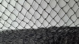 Fine mesh netting protecting garden plants