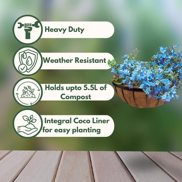 Wall-mounted planter with natural coco fibre liner.
