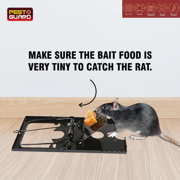 Heavy-duty spring-loaded mouse trap set.