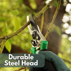 pruning scissors for flower and plant care