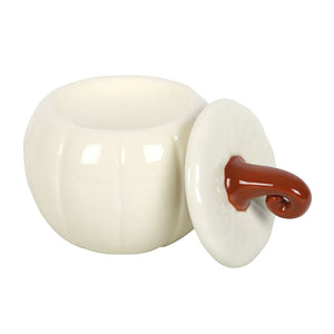 White ceramic knob with a brown handle on a white background