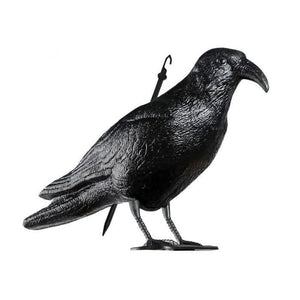 realistic-pest-control-crow-decoy