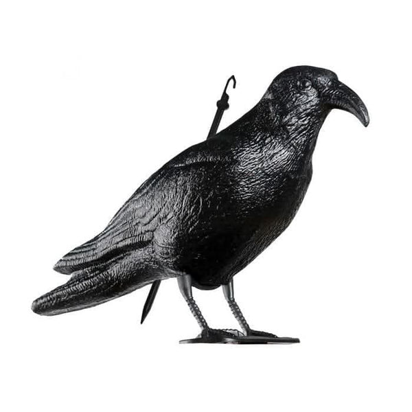realistic-pest-control-crow-decoy