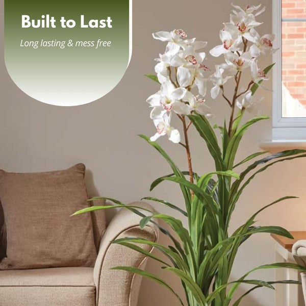 Decorative indoor orchid plant for hallway
