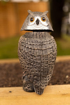 Plastic owl figurine on a wooden surface with a blurred natural background