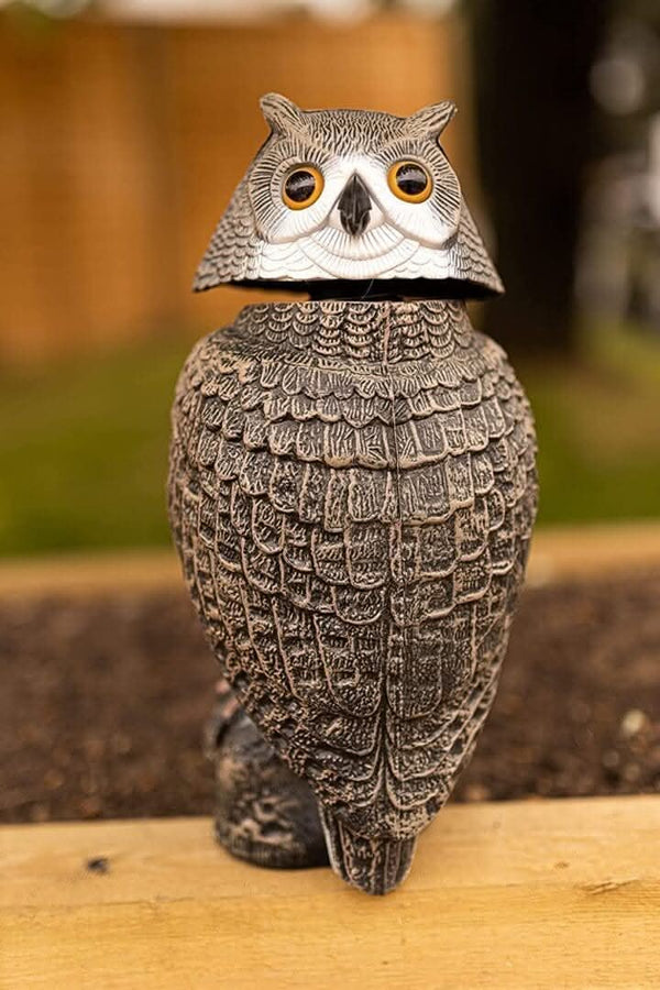 Plastic owl figurine on a wooden surface with a blurred natural background