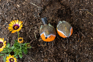 Resin robin statues for patio display