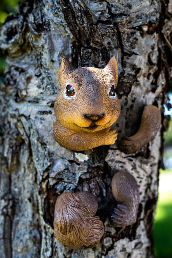 Resin squirrel tree peeker shown outdoors