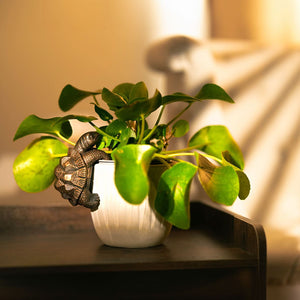 Bronze effect tortoise planter decoration shown outdoors
