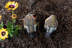 Garden wildlife resin robin ornament set
