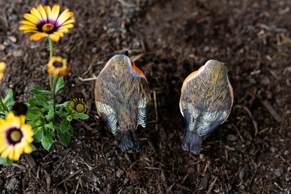 Garden wildlife resin robin ornament set