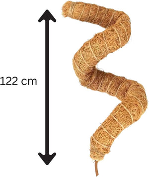 indoor plant support pole with hemp rope attached