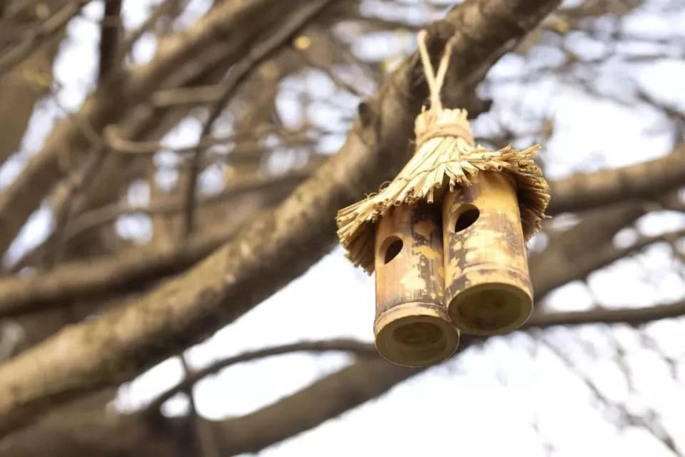 Rustic wooden hanging bird nest box