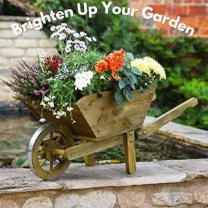 Wheelbarrow flower pot for garden display