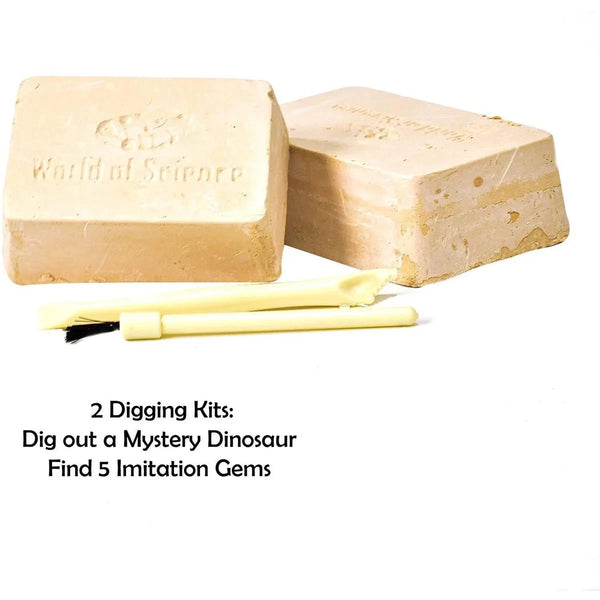 Two beige blocks with tools on a white background, labeled 'World of Science'.