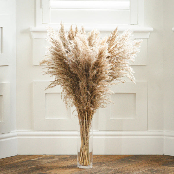 Clear vase with dried pampas grass against a white paneled wall.