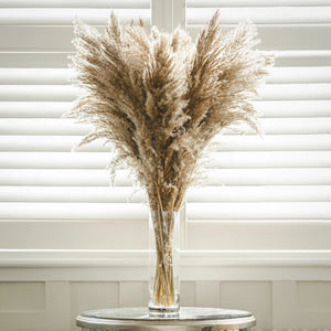 Vase with dried pampas grass against a window with blinds