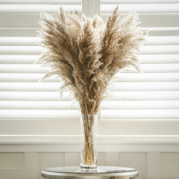 Vase with dried pampas grass against a window with blinds
