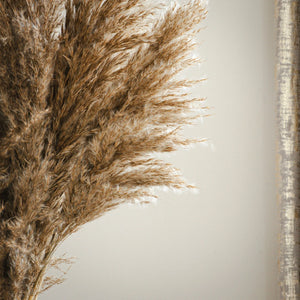 Close-up of dried pampas grass against a neutral background