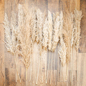 Dried pampas grass on a wooden surface
