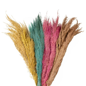 Four bundles of dried grass in different colors on a white background
