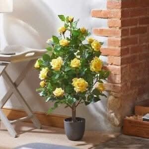 Regent's Rose Potted Plant Home Garden Faux Flowers - Yellow 80cm