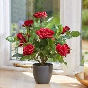 Regent's Rose Potted Plant Home Garden Faux Flowers - Red 40cm