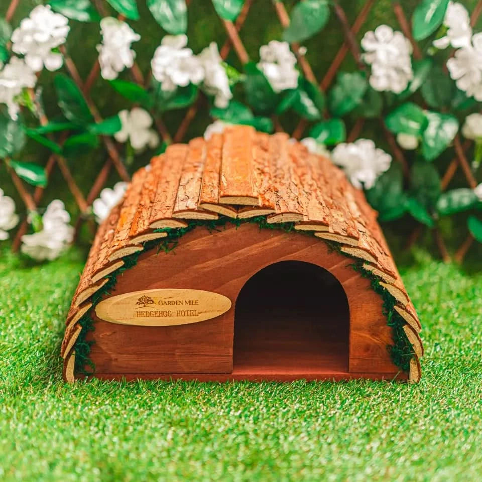 hedgehog house