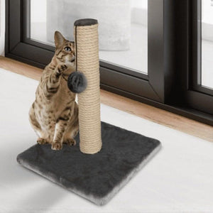 scratching post with hanging ball