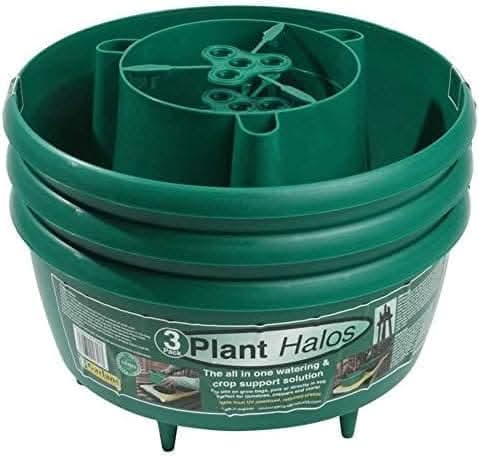 Self watering plant halo crop support for tomatoes
