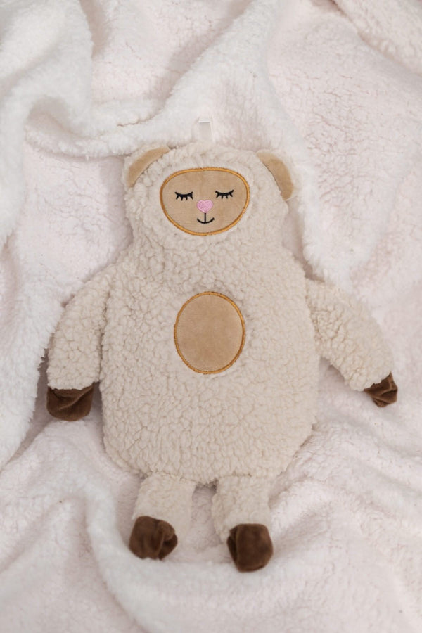 Soft animal cover with removable hot water bottle
