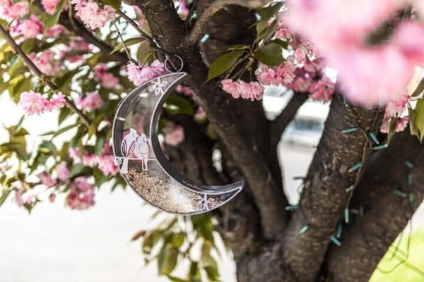 Decorative moon bird feeder hanging outdoors