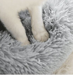 50cm plush dog and cat bed displayed indoors