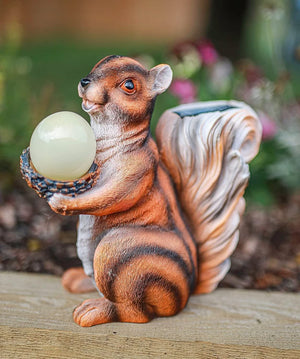 Brown squirrel holding an acorn in an outdoor garden