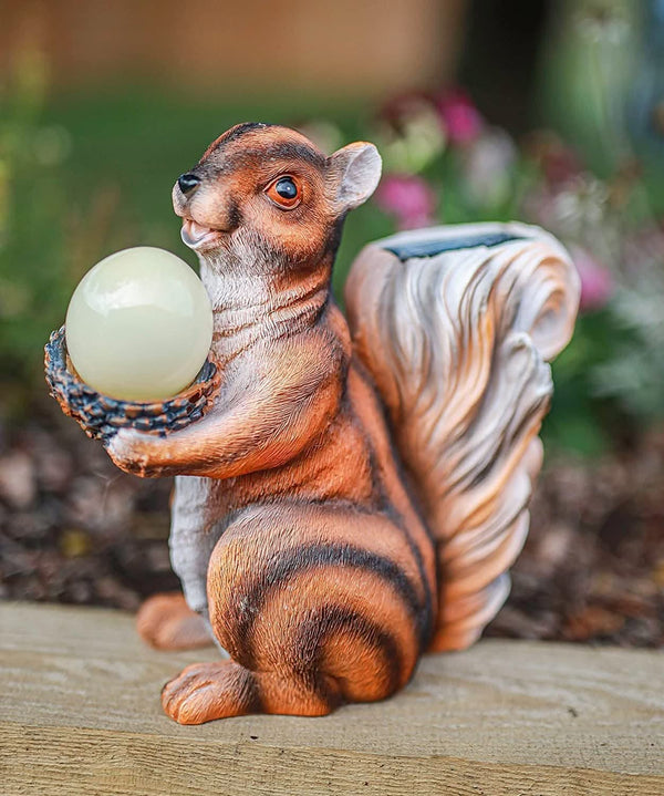 Brown squirrel holding an acorn in an outdoor garden