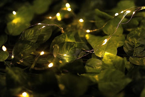 Solar powered watering can light displayed beside plants