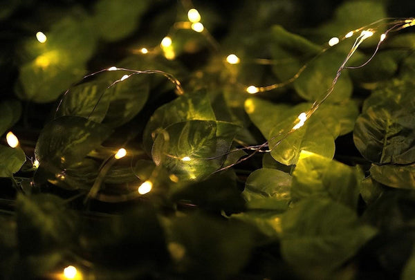 Solar powered watering can light displayed beside plants