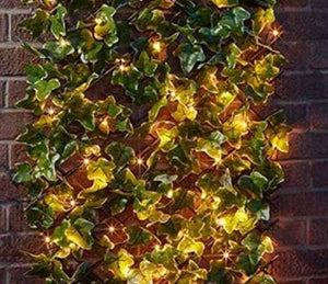 solar ivy trellis privacy screen with LED lights