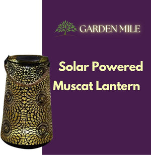 Garden lantern with intricate cut-out metal design.